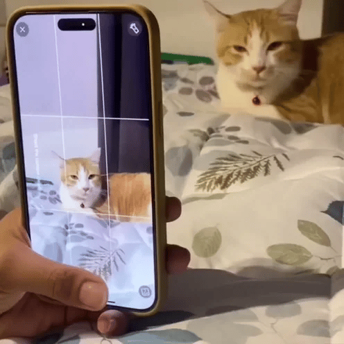 Capturing Special Moments